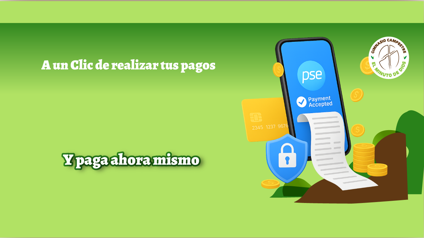 pereira-web
